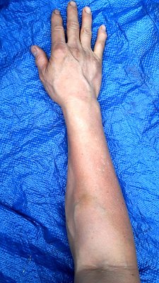 IMG 20240307 122624.jpg