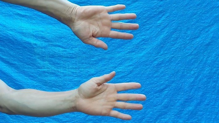 IMG 20240307 122621.jpg