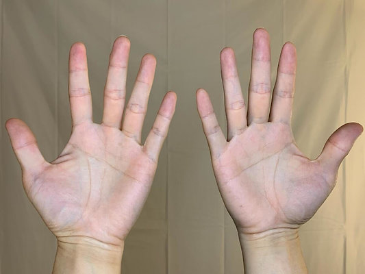 JONATHANSKIM AutoBrand HANDMODEL OpenPALMS BHT.jpg