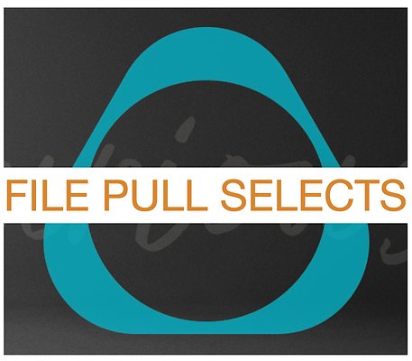 02 File Pull Selects