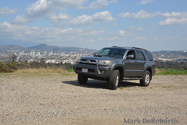 MDR 9559 x MDR 9559 x