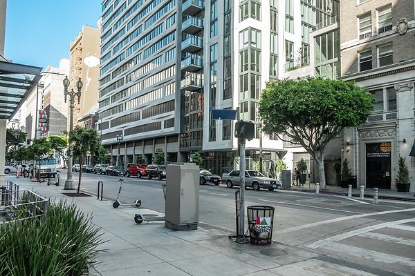 14 PL8068 Renee 603 14 PL8068 Renee 603