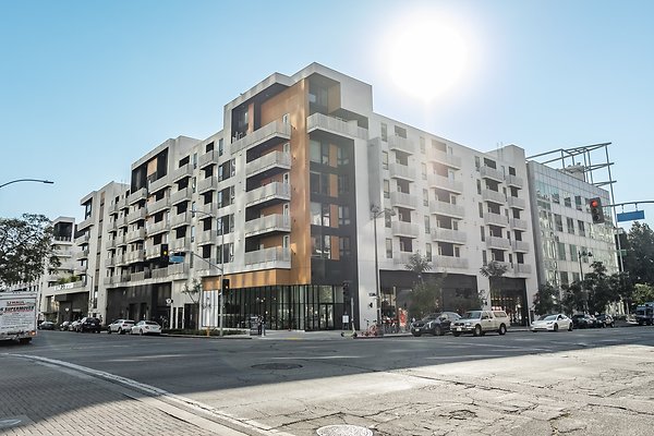 X RENEE 815 X RENEE 815