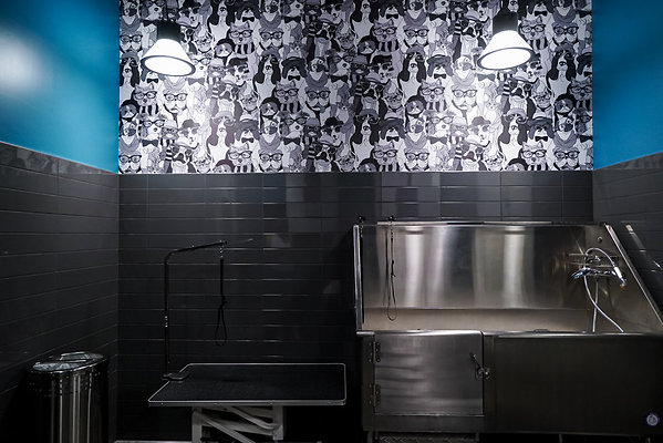 ReelEstatePartners mfa40-dtla-25 ReelEstatePartners mfa40-dtla-25