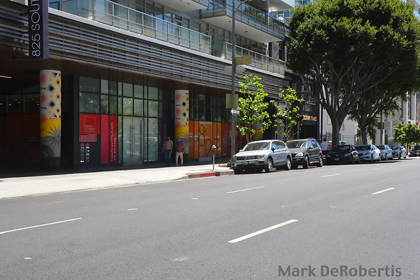 MDR 0738 x MDR 0738 x