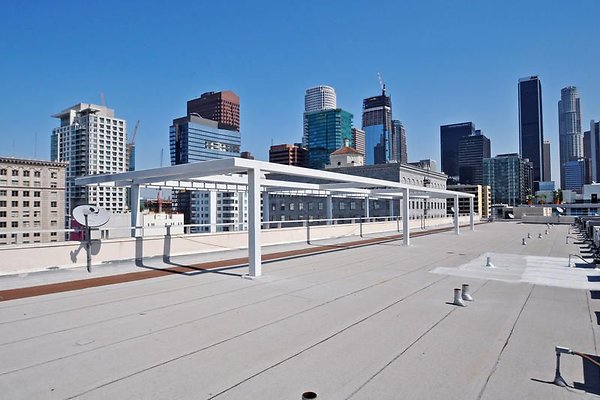 38 UN A313 DTLA 38 UN A313 DTLA