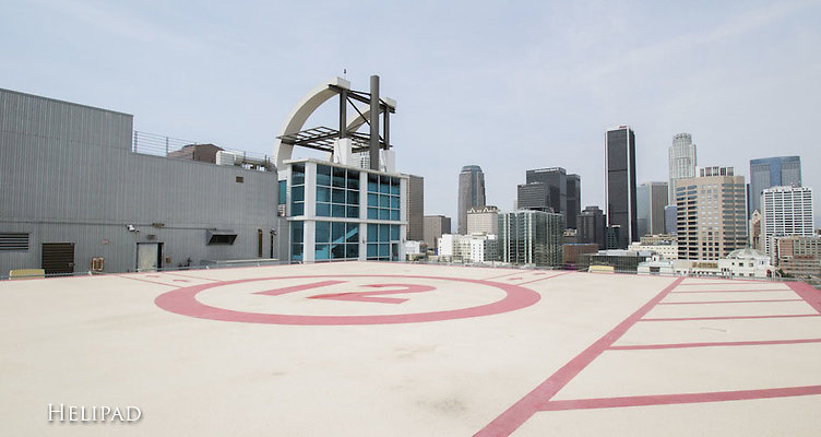 56 Renaissance HL 56 Renaissance HL