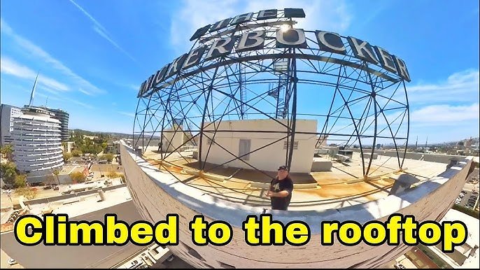 31 Knickerbocker Hollywood 31 Knickerbocker Hollywood