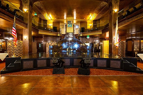 40 213 Cicada 40 213 Cicada