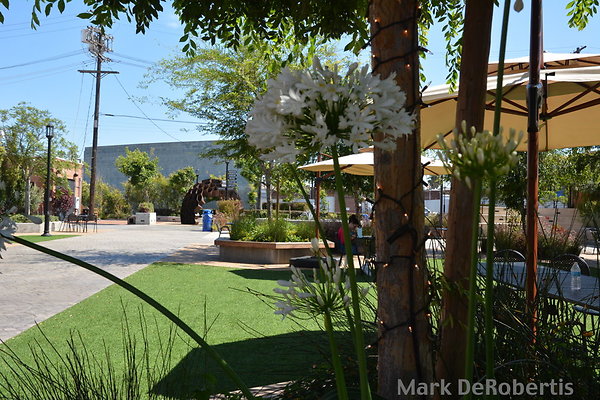 MDR 8233 - 315pm MDR 8233 - 315pm