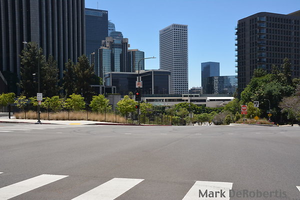 11 Hope Flower Kos 6-2024 11 Hope Flower Kos 6-2024