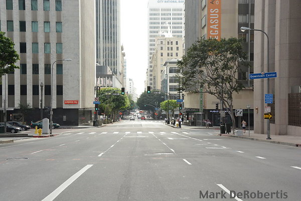 26 6th Fig To Olive 26 6th Fig To Olive