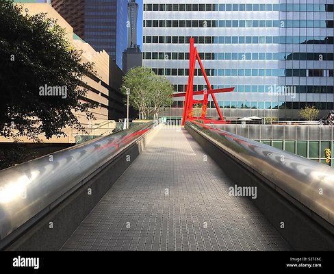 13 Bonaventure Flower 13 Bonaventure Flower