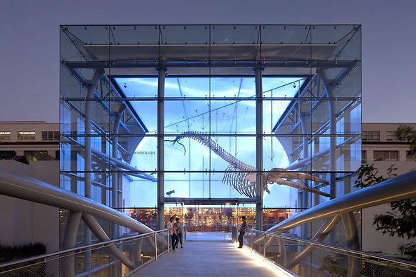 06 Natural History Museum 06 Natural History Museum