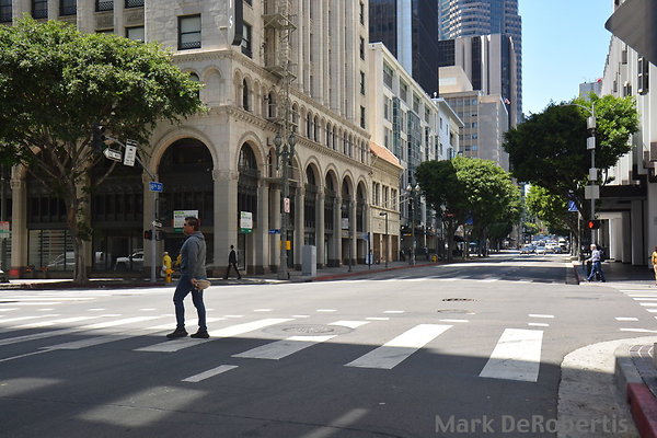 MDR 8693 - 260deg MDR 8693 - 260deg