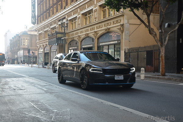 MDR 8761 x MDR 8761 x