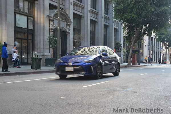 MDR 8679 x MDR 8679 x