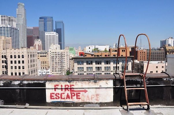 EDSC 0236 x EDSC 0236 x