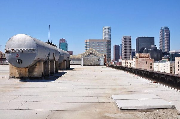 EDSC 0242 x EDSC 0242 x