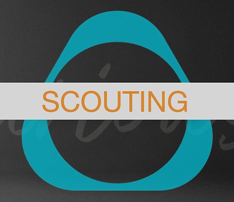 03 Scouting