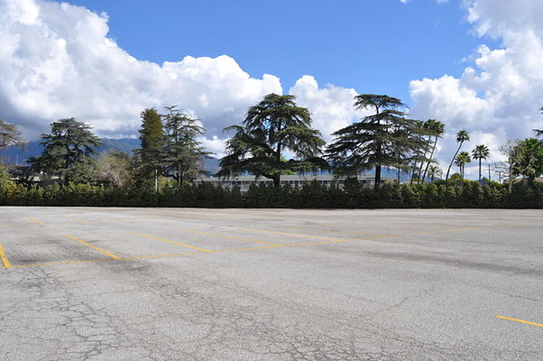 12 Santa Anita 3-2020