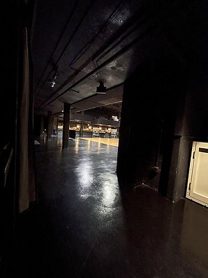 RENEE1028-36 RENEE1028-36