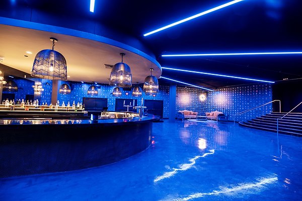 RENEE1028-2 RENEE1028-2