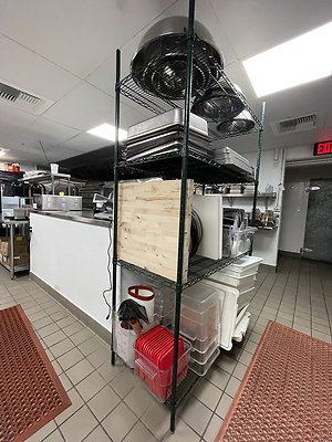 RENEE1028-65 RENEE1028-65