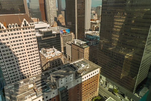 RENEE999-8 RENEE999-8