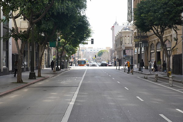 z-DTLA-20250315-003 z-DTLA-20250315-003