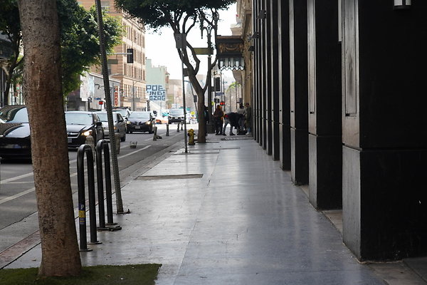 DTLA-20250315-008 DTLA-20250315-008