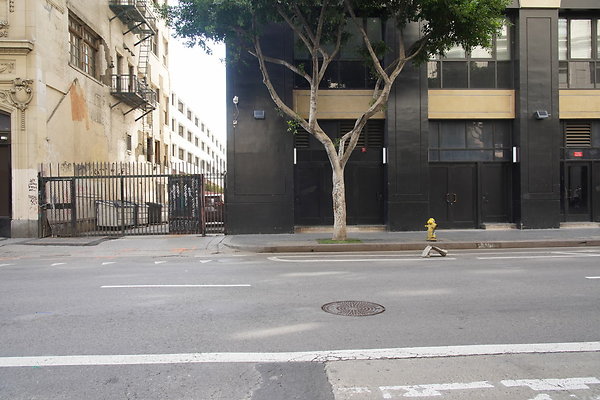 DTLA-20250315-020 DTLA-20250315-020