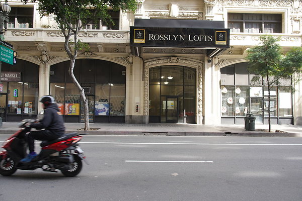 DTLA-20250315-032 DTLA-20250315-032