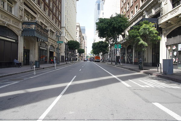 DTLA-20250315-041 DTLA-20250315-041