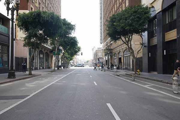 DTLA-20250315-013 DTLA-20250315-013