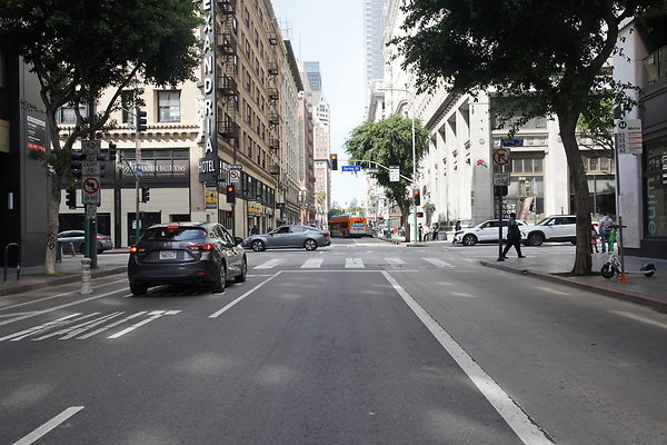 DTLA-20250315-014 DTLA-20250315-014