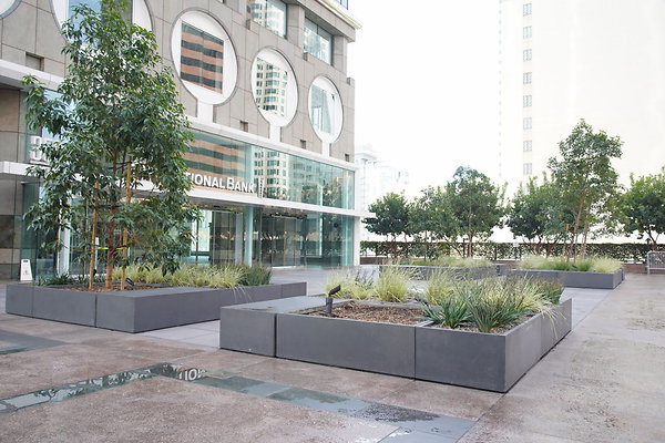 Two-Cal-TLP-024 Two-Cal-TLP-024