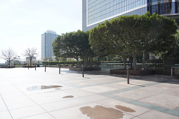 Two-Cal-TLP-053 Two-Cal-TLP-053