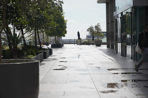 Two-Cal-TLP-029 Two-Cal-TLP-029