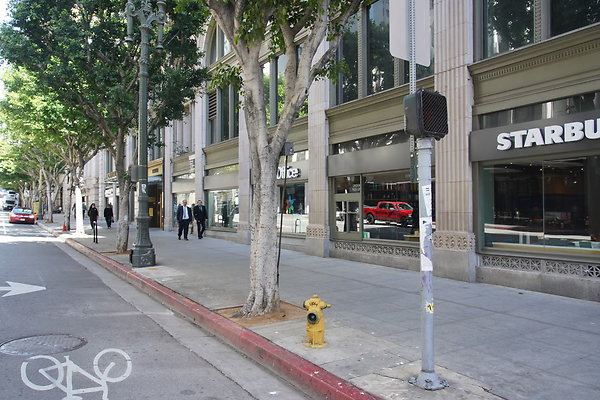 DTLA-20250315-055 DTLA-20250315-055