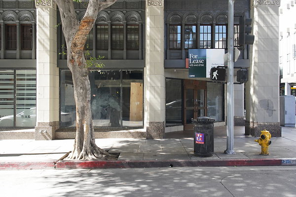 DTLA-20250315-085 DTLA-20250315-085