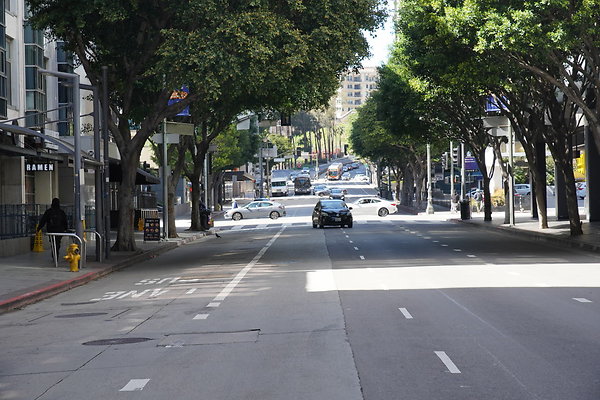 DTLA-20250315-093 DTLA-20250315-093