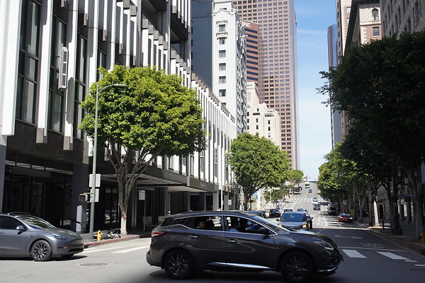 DTLA-20250315-073 DTLA-20250315-073