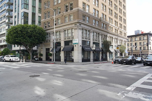 DTLA-20250315-145 DTLA-20250315-145