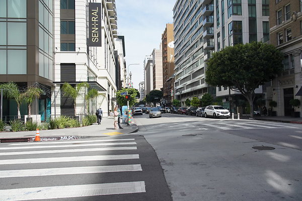 DTLA-20250315-143 DTLA-20250315-143