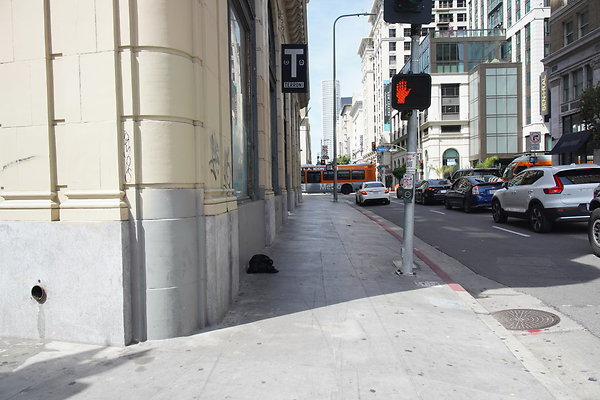 DTLA-20250315-161 DTLA-20250315-161