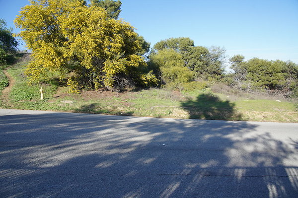 elysian-2025-014 elysian-2025-014