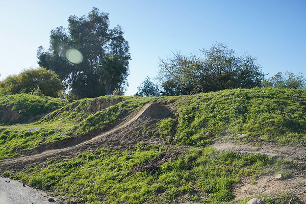 z-elysian-2025-002 z-elysian-2025-002