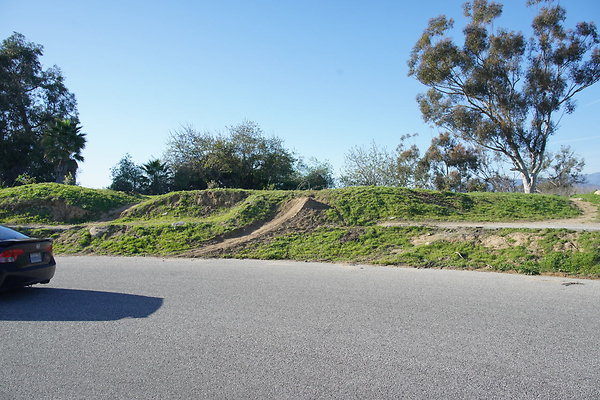 elysian-2025-007 elysian-2025-007