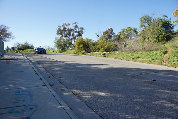 elysian-2025-013 elysian-2025-013